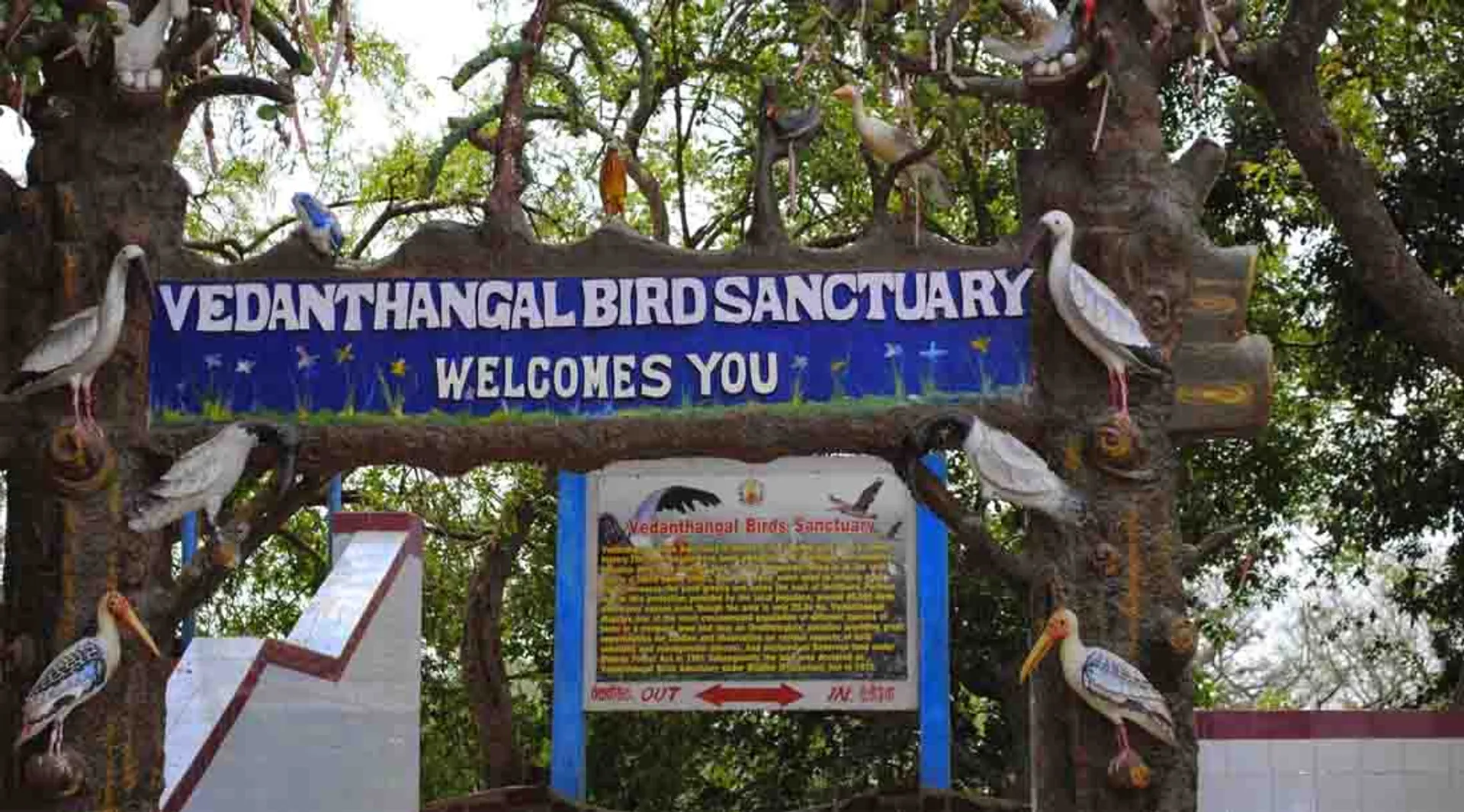 Vedanthangal Bird Sanctuary 