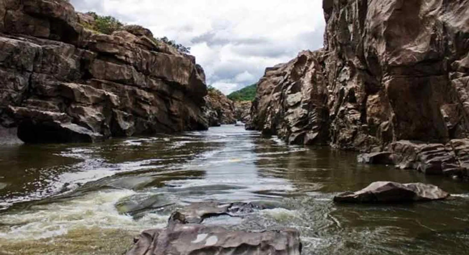  Tamil Nadu government opposes review of Mega dadu Dam