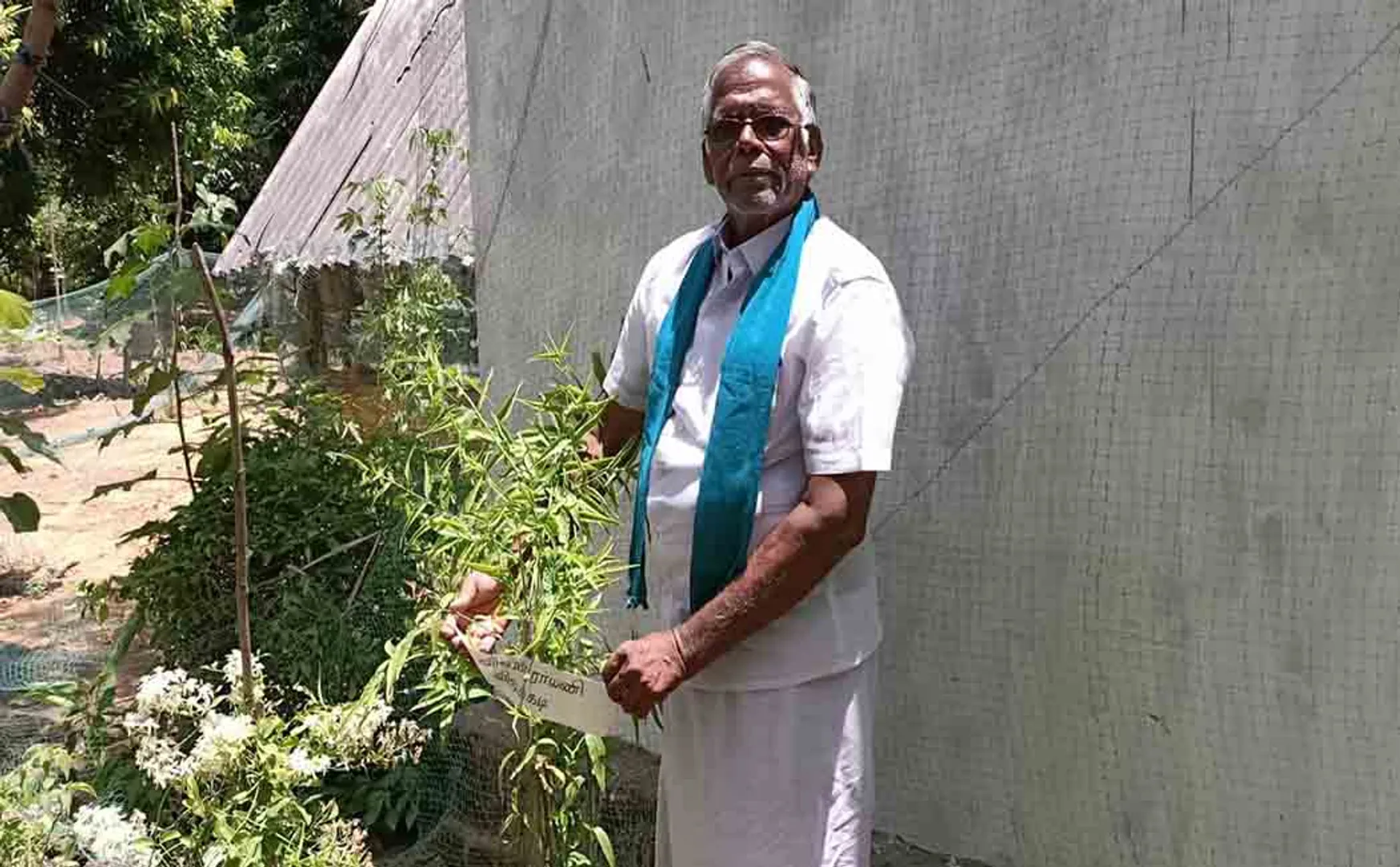 CUDDALORE DISTRICT FARMER TREE AYURVEDIC  HERBS  TREES 