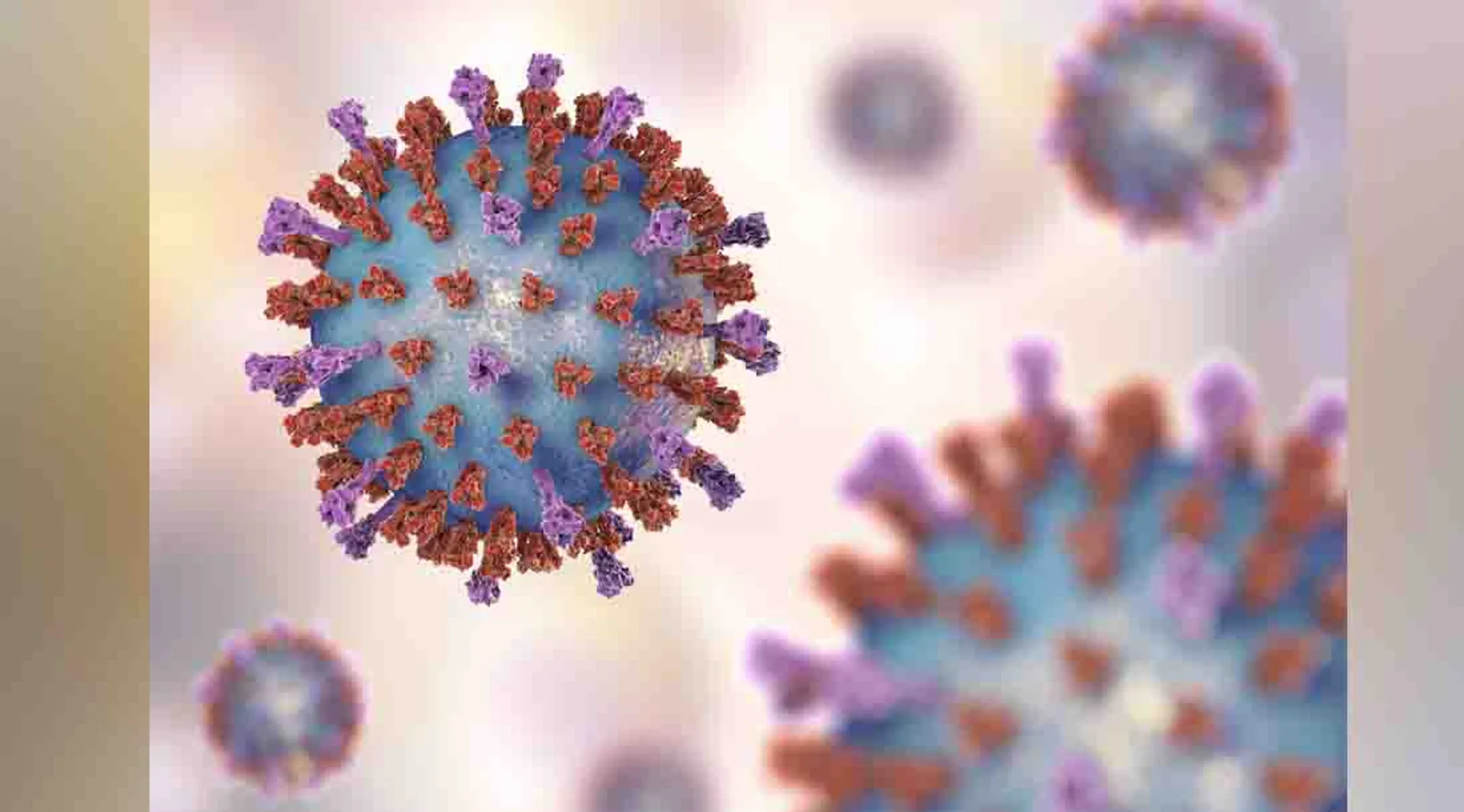corona virus