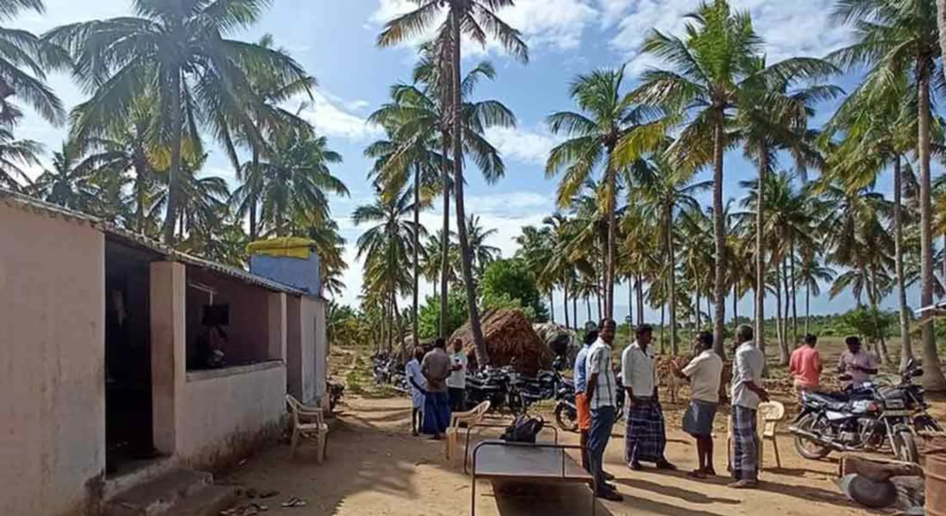 Masked bandits near Palani!