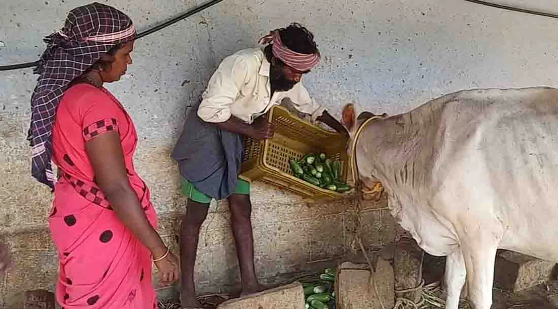 Farmers