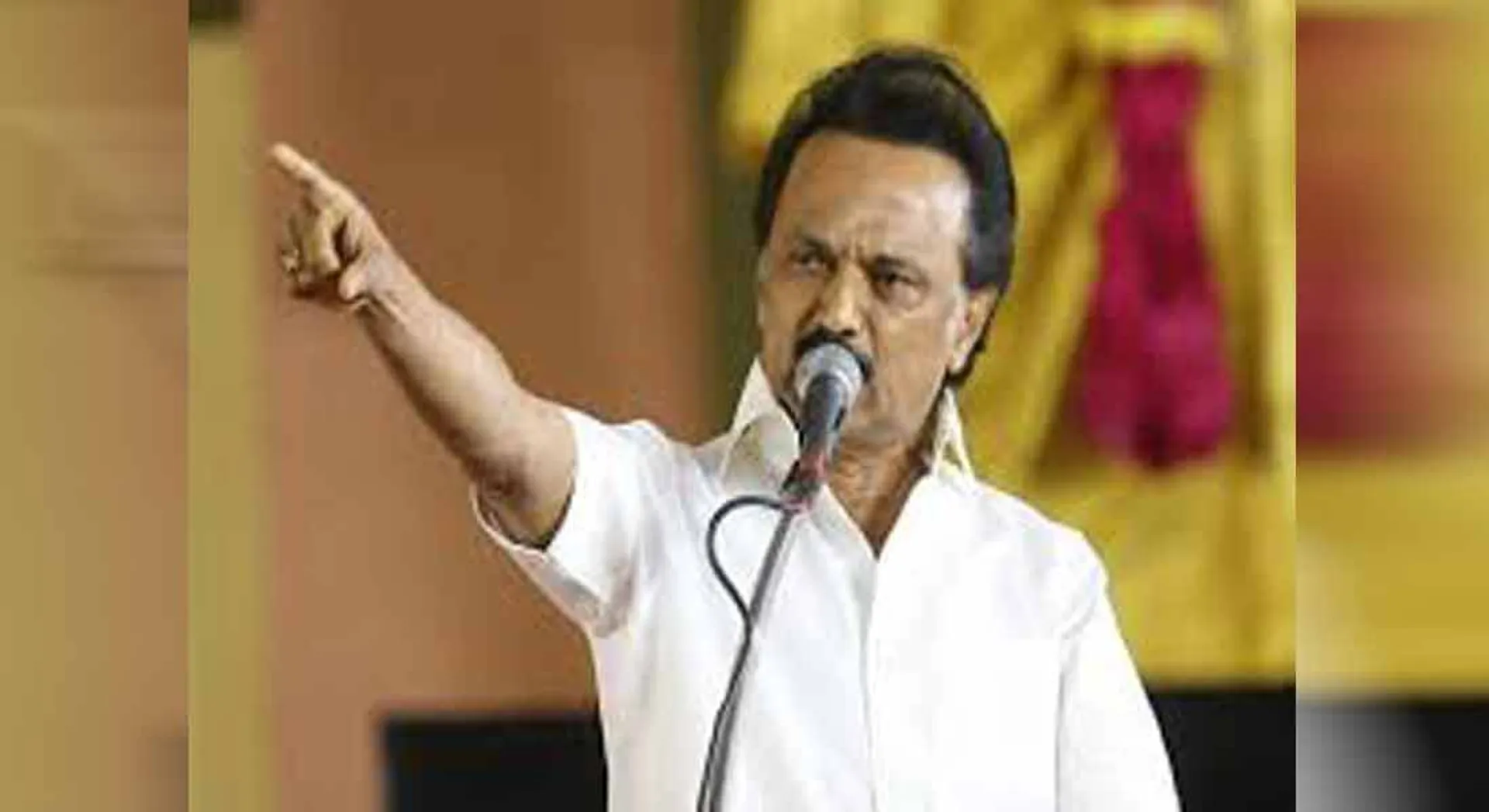 dmk stalin report 