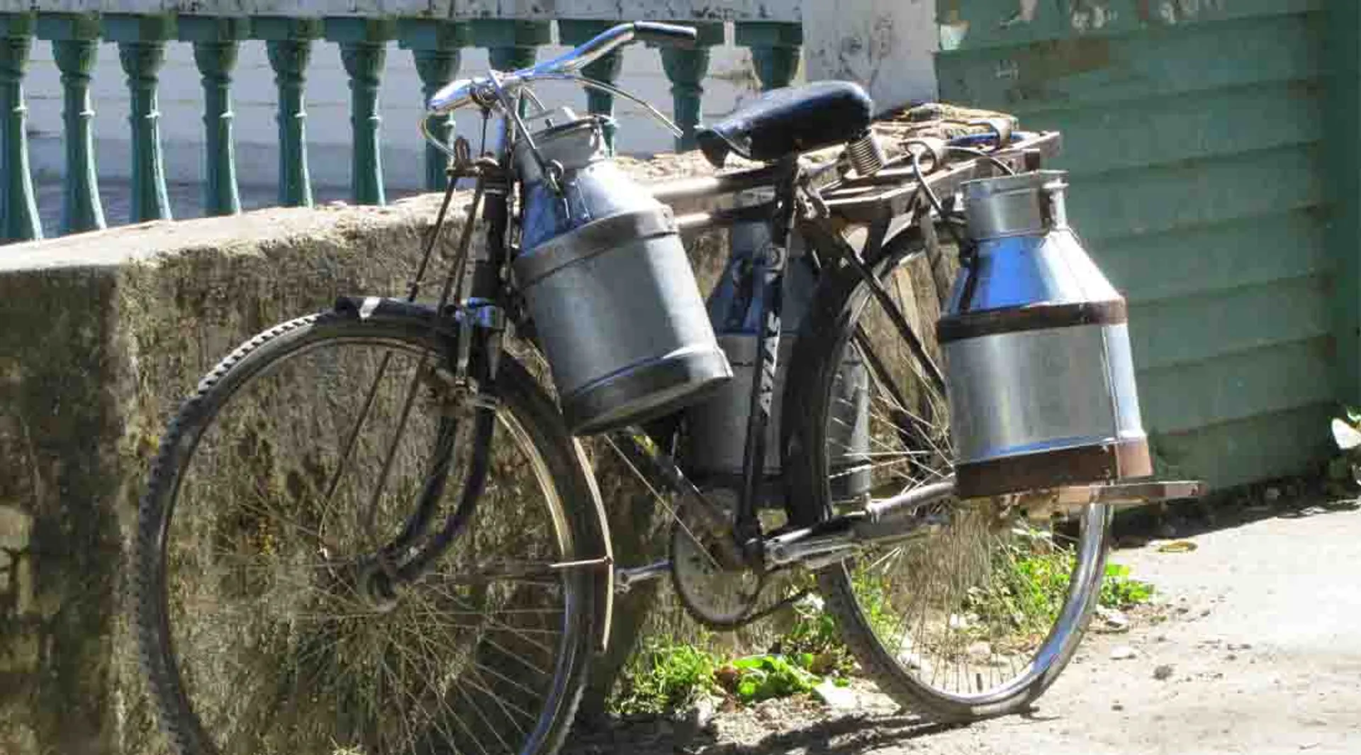 milk cycle