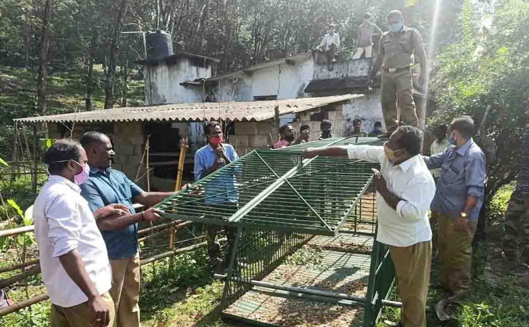 tenkasi district Wolves animals peoples forest officers 
