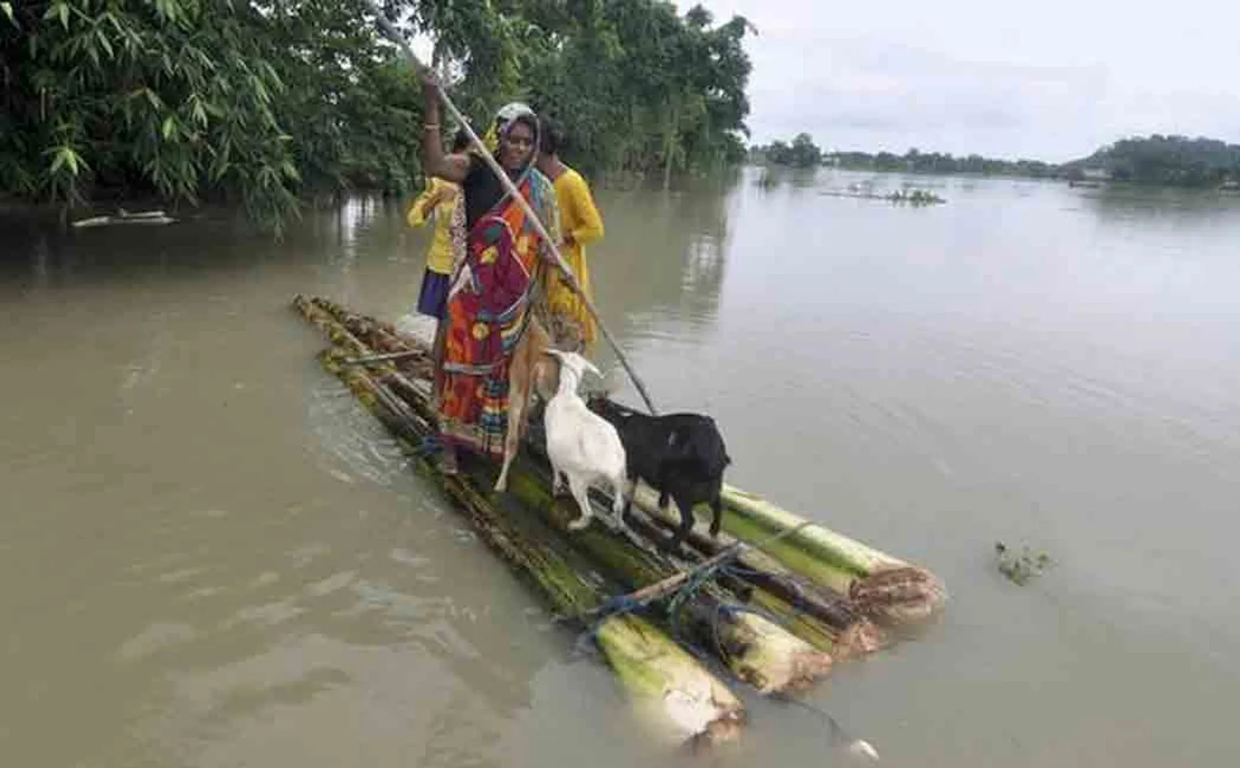 assam flood affects 9 lakh people