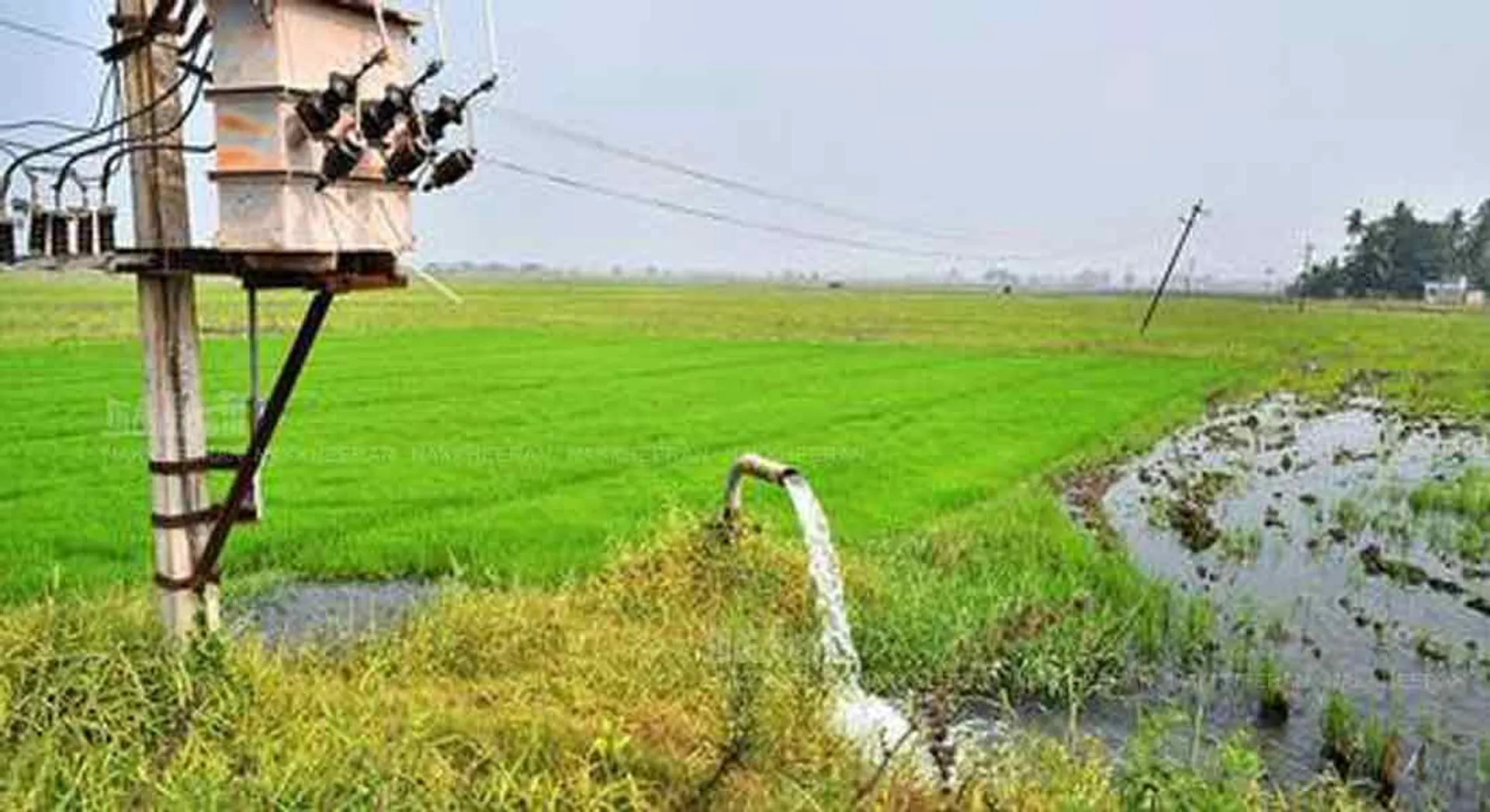 Farmers' signature movement to abandon new electricity bill