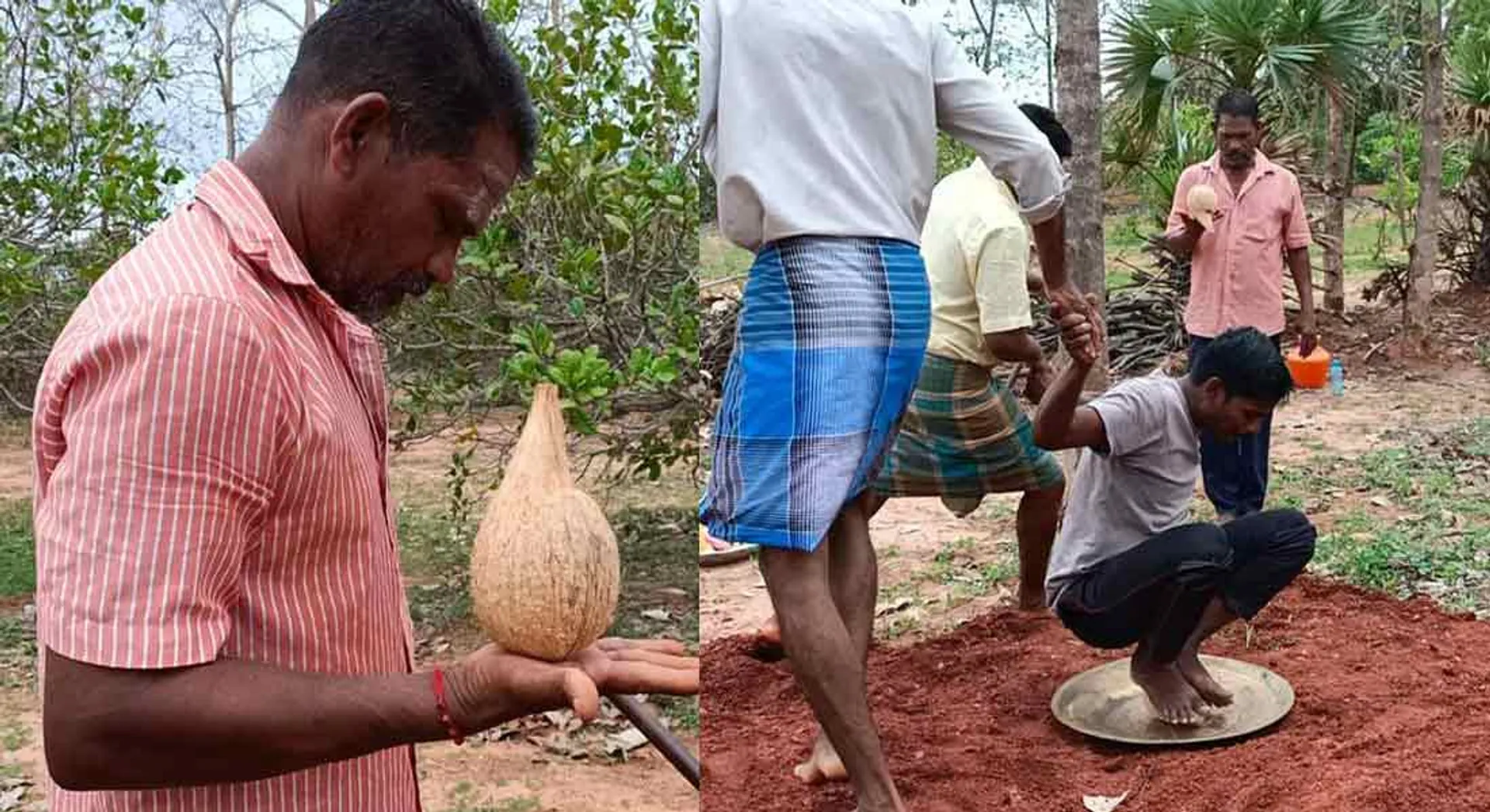 Area Cultivators for 'Coconut Rolling System'