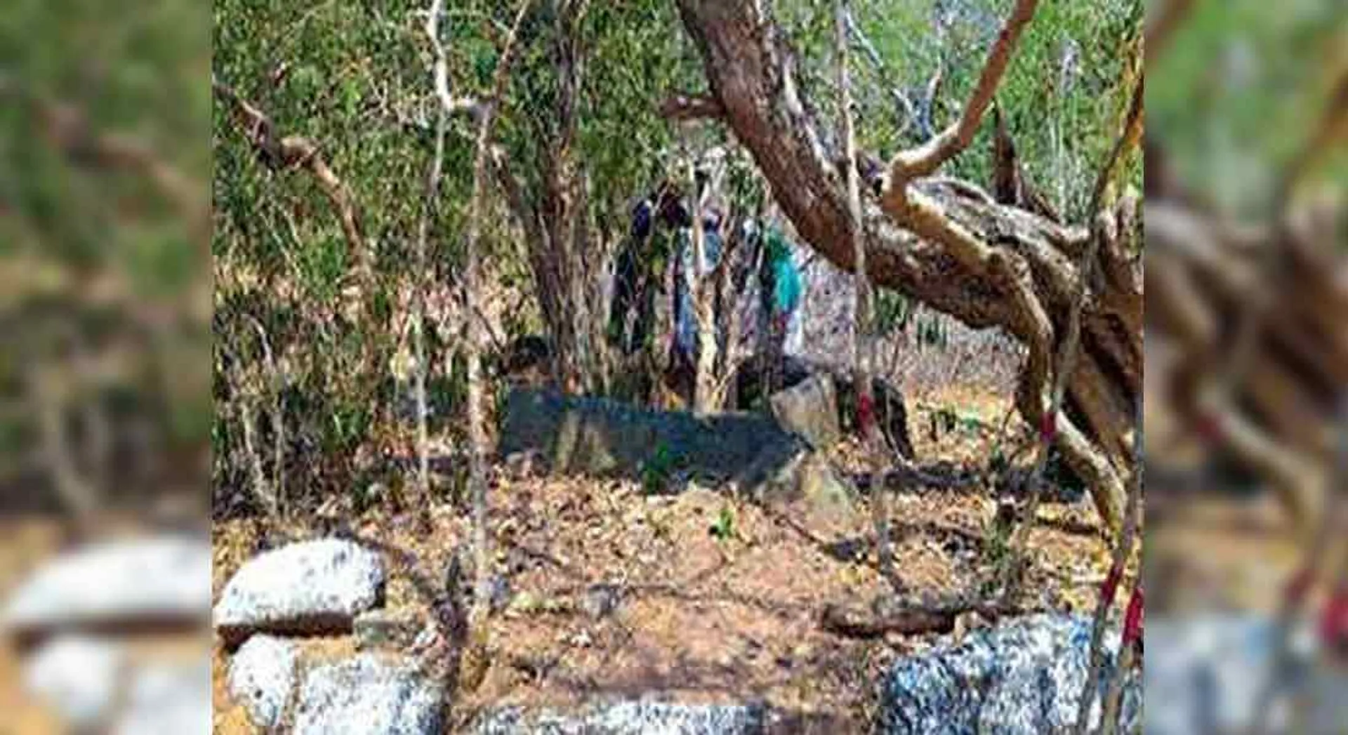 THIRUCHY FOREST