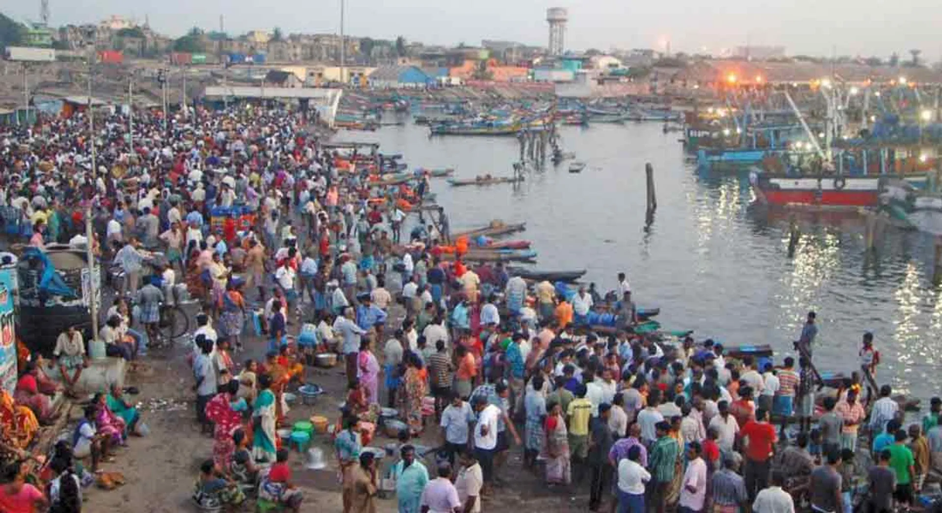  Mask is mandatory to buy fish - Minister Jayakumar