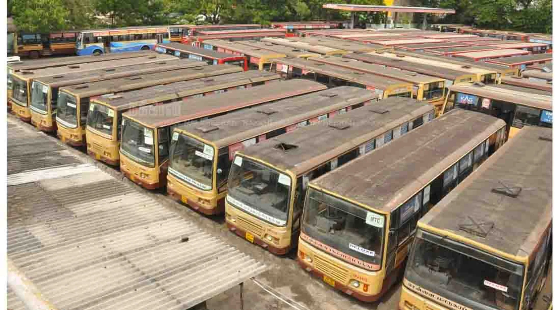 bus
