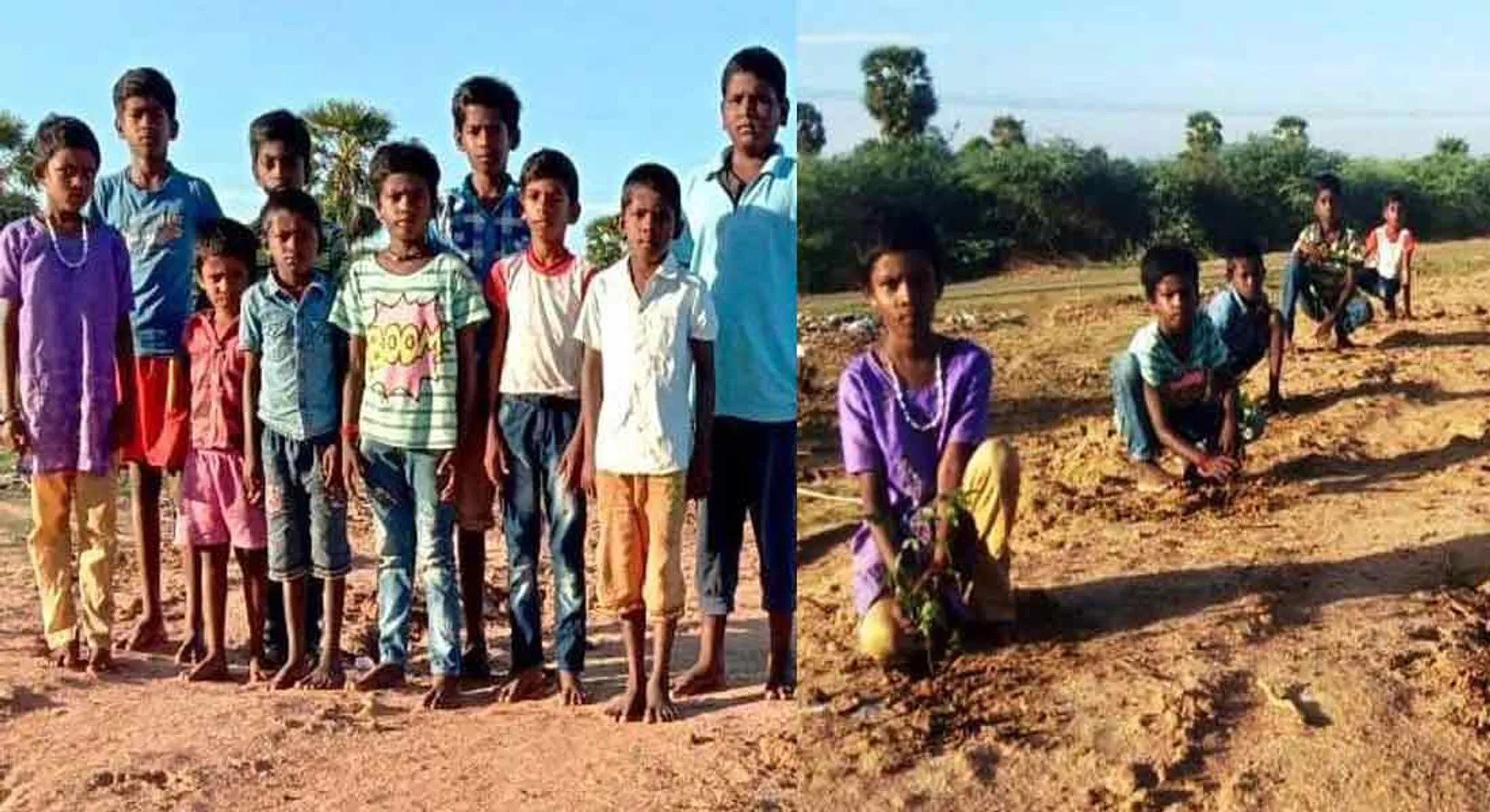 Hope for the future that will blossom ... Boys and youth who have moved the sapling nut !!!