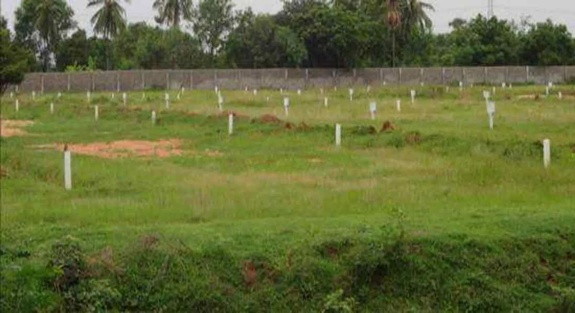  Government raising the fee for appeal if the land level and subdivision is set