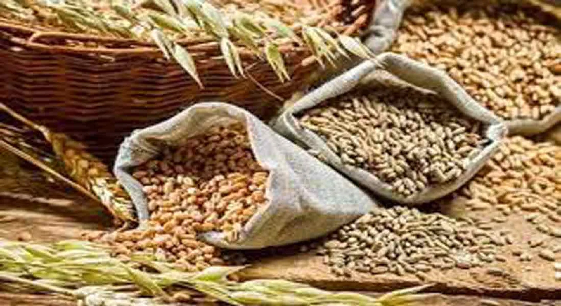  How much food grains are allocated to state governments? -Federal Government ordered to respond!