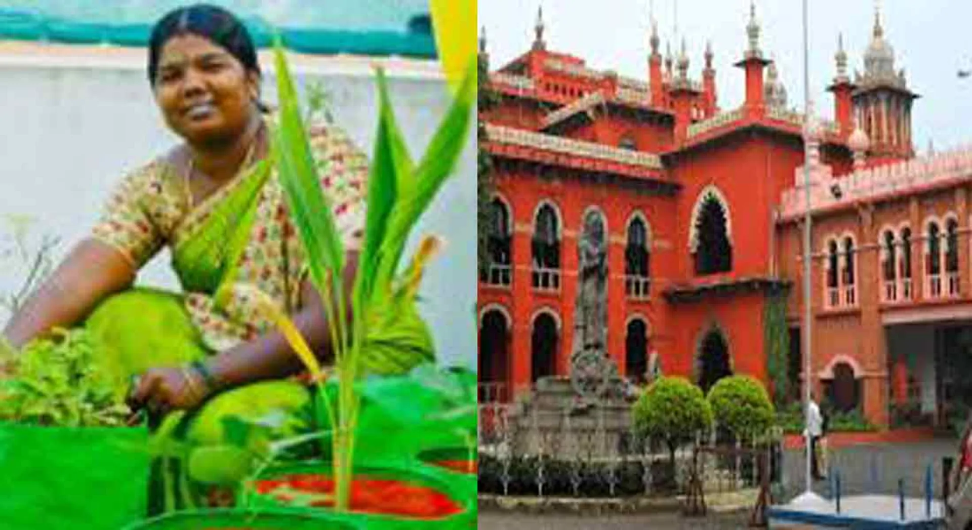 Thiruvannamalai professor Krishnaveni case! -Order to the Special Court to complete within three months!