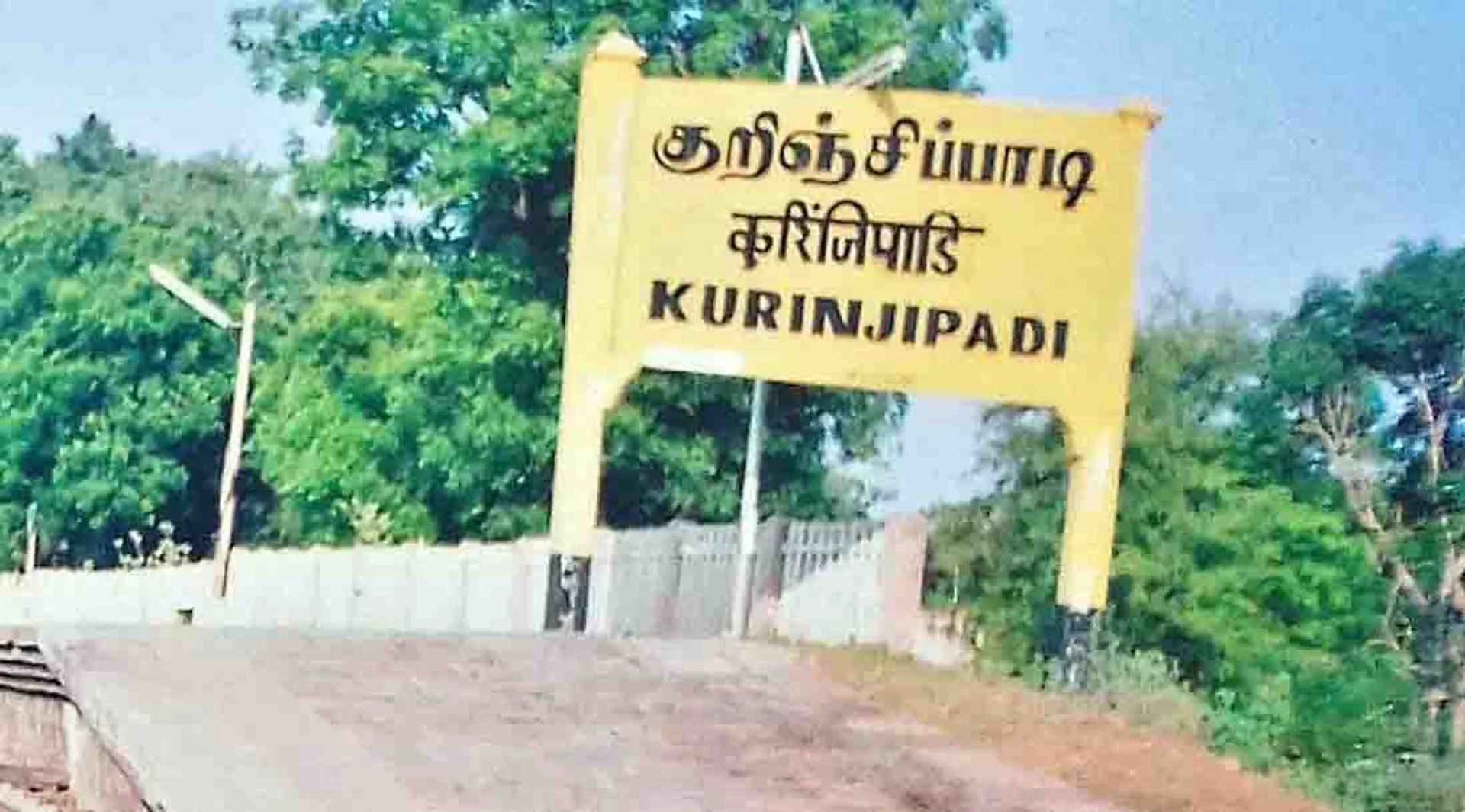 Kurinjipadi 