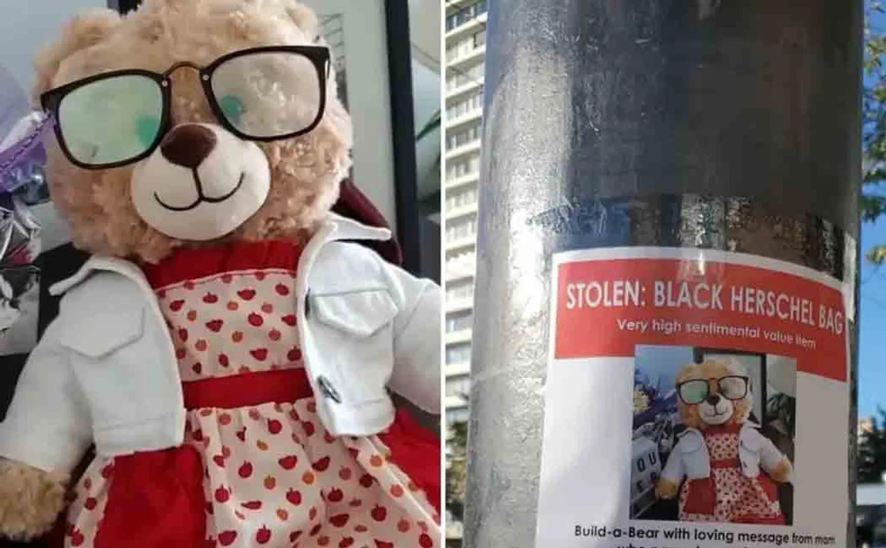 people are rallying around the search for a missing teddy bear in Vancouver