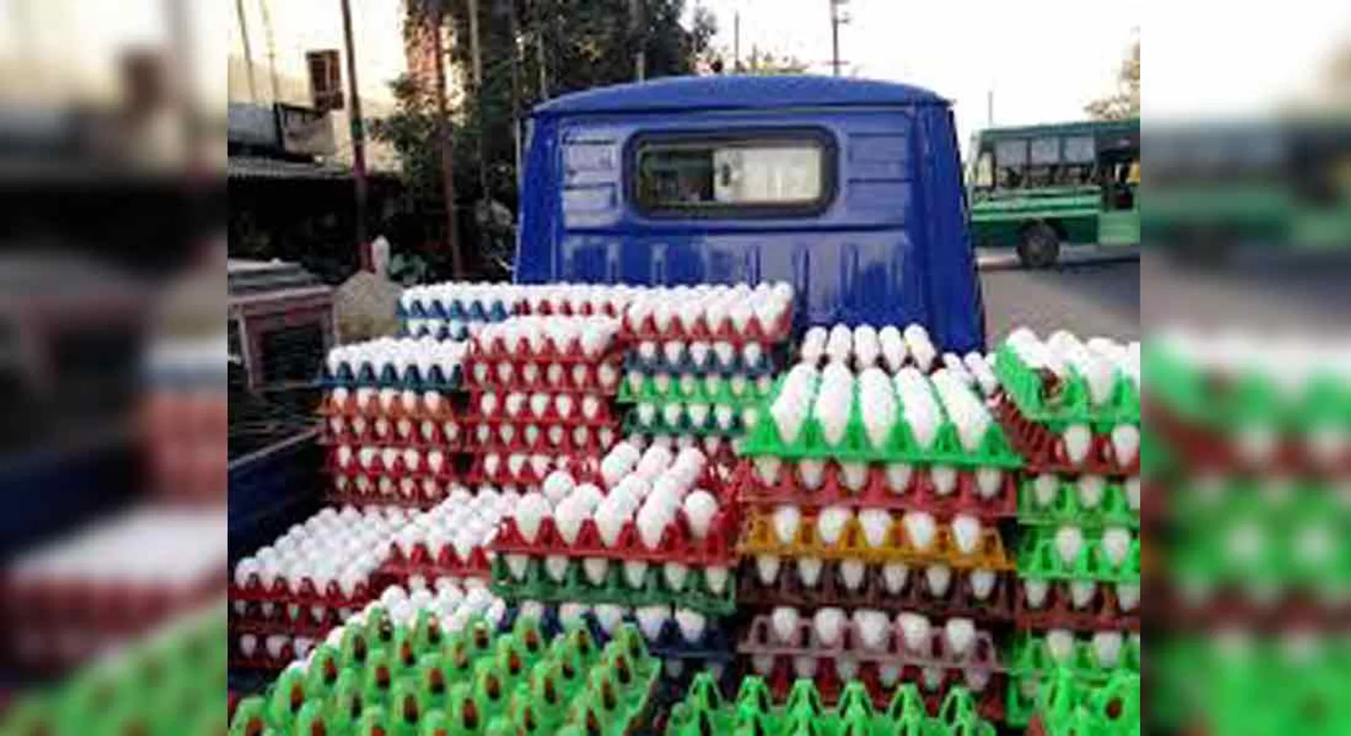 High Court directs Tamil Nadu government to explain explanation of providing eggs and nappies to students