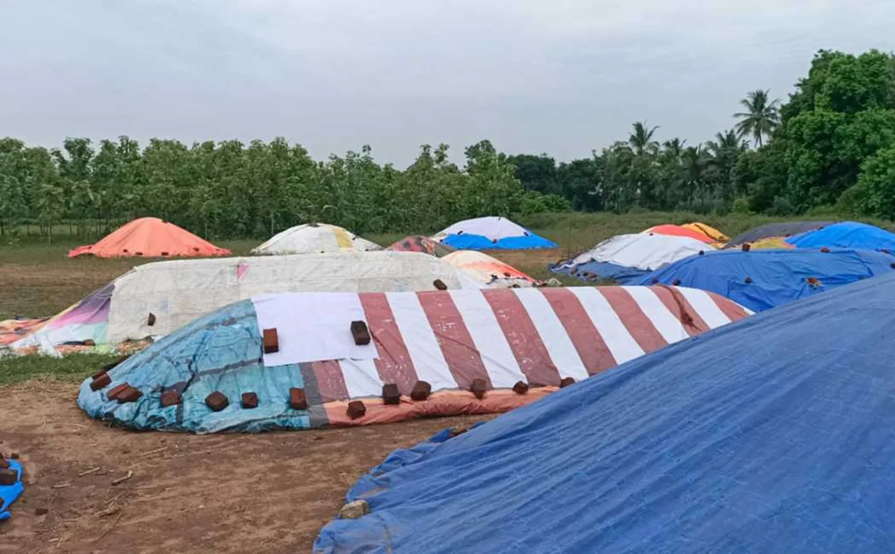 huge paddy stocks arrive at viruthachalam caused traffic jam