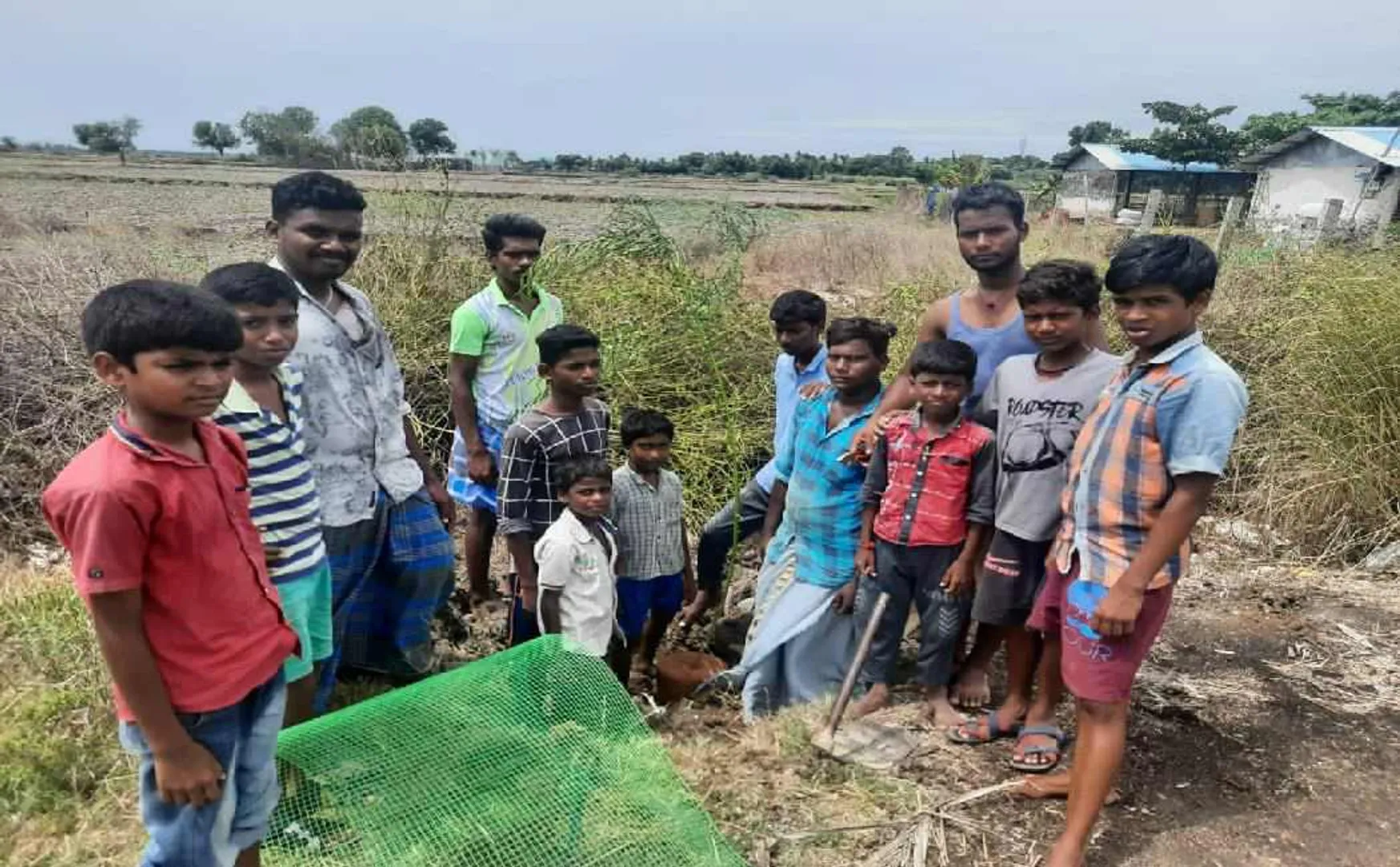 Young Children planting trees