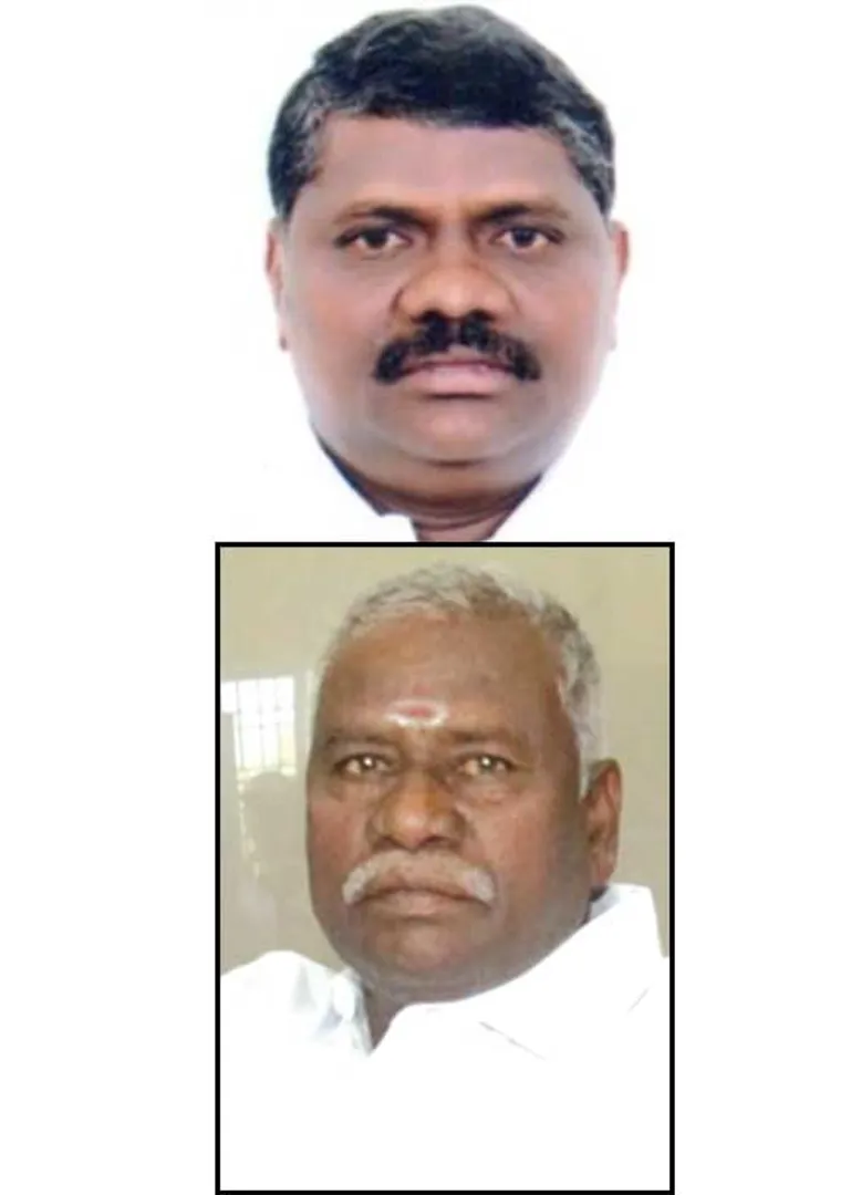 mla