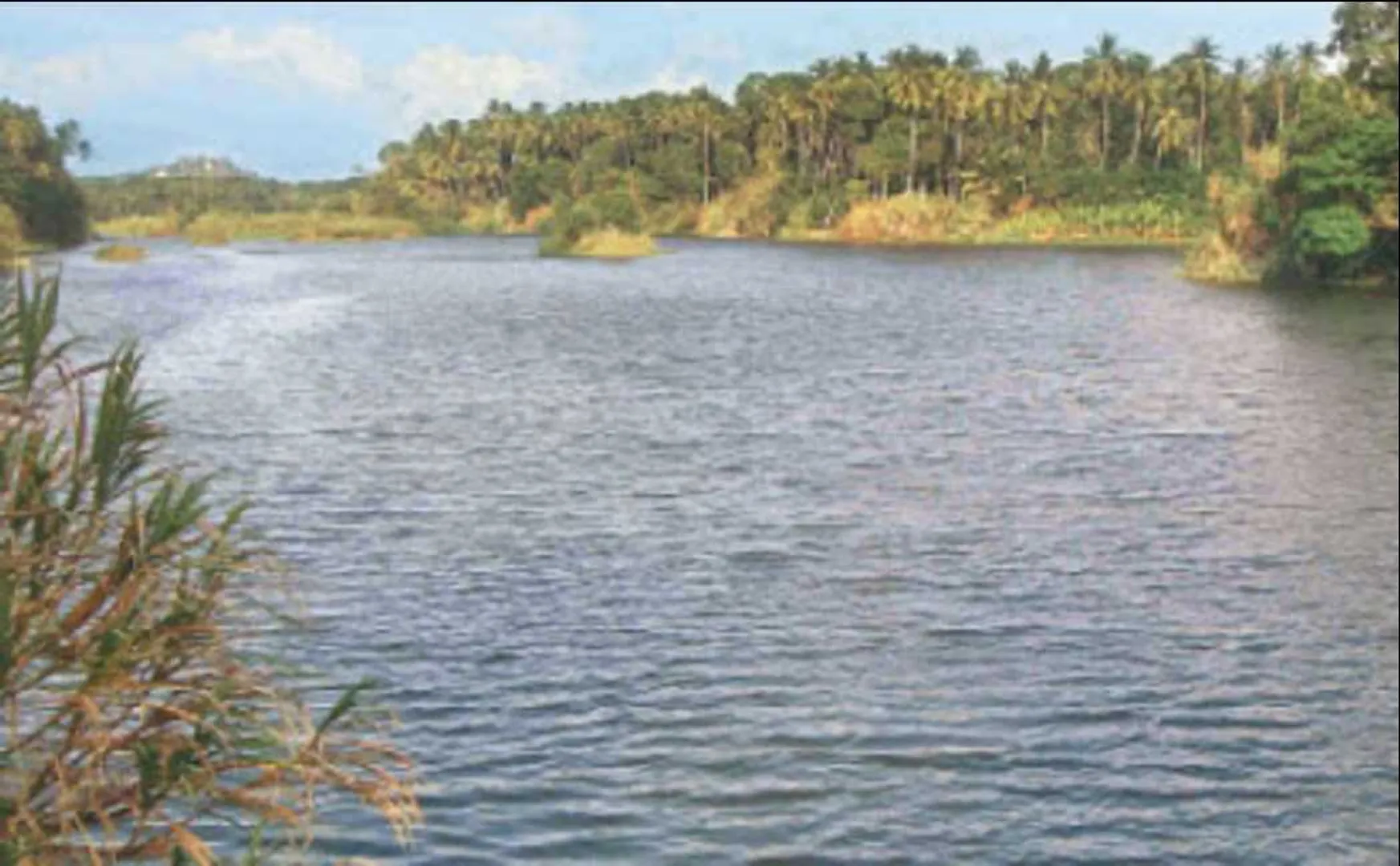 a river