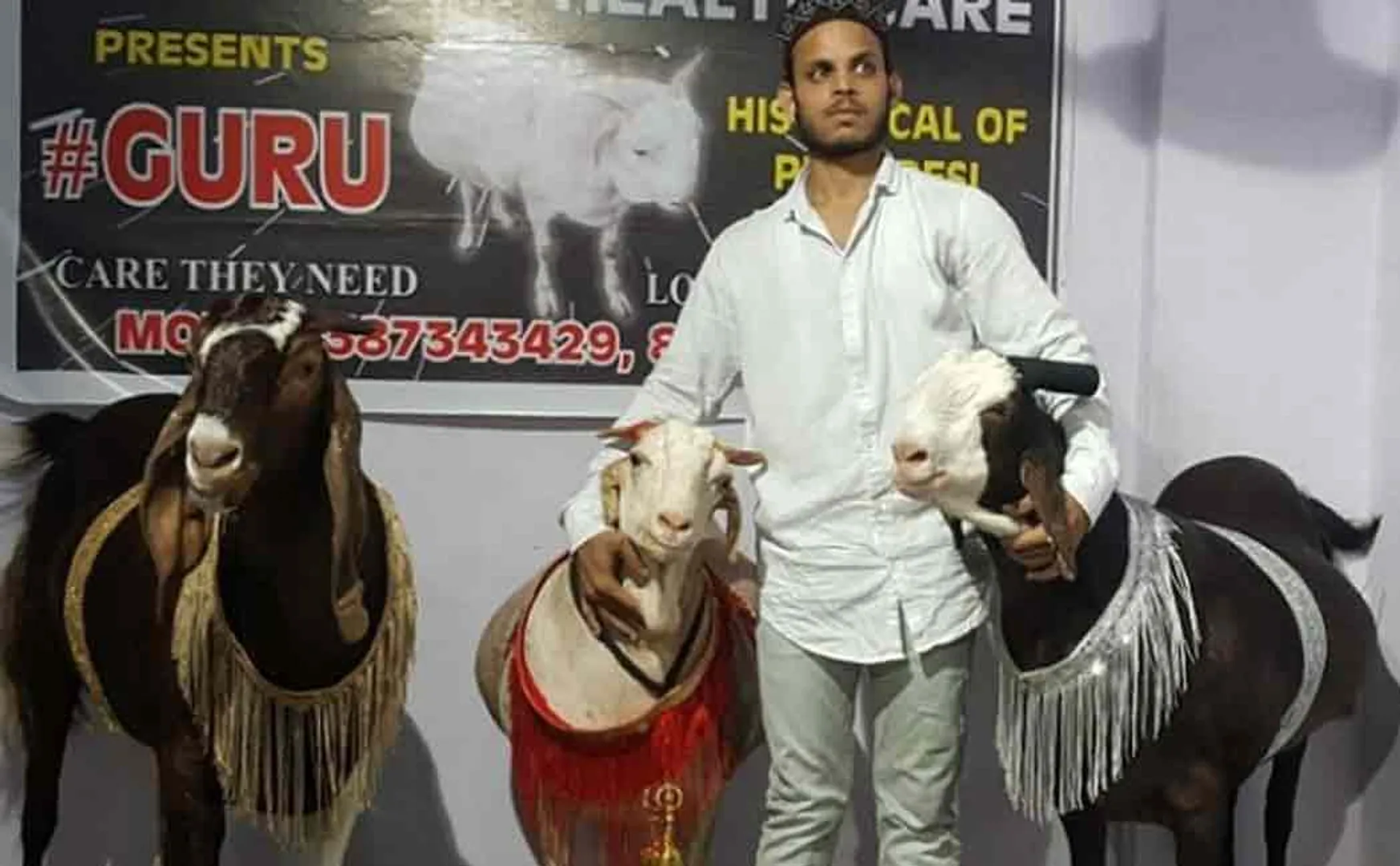 goats sold for 3.5 lakh rupees in uttarpradesh