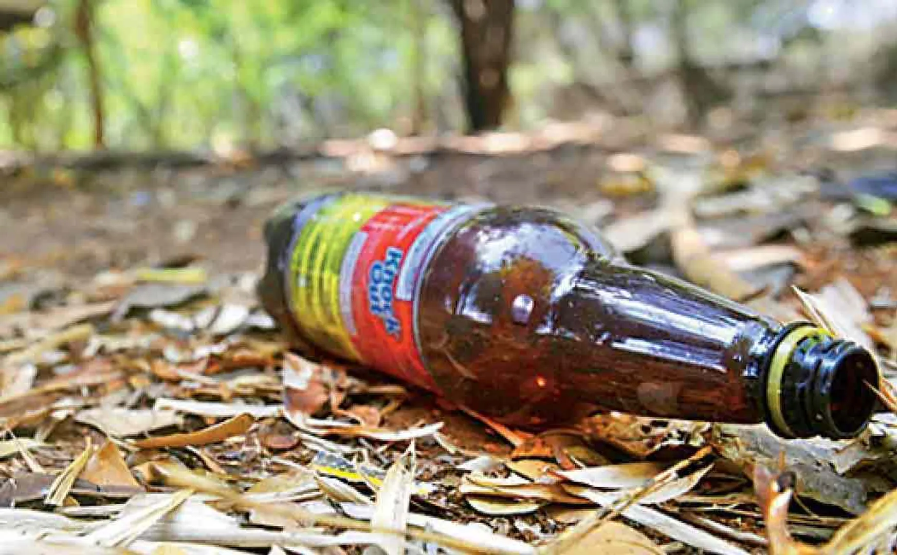 illicit liquor case in punjab 