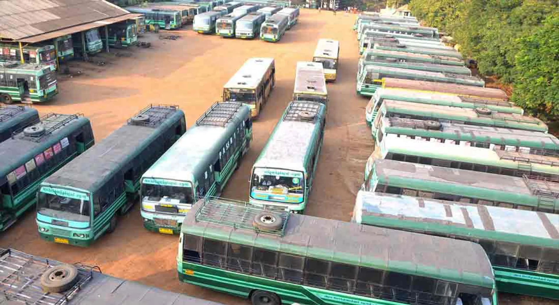 Special camp to renew government bus driver's license!