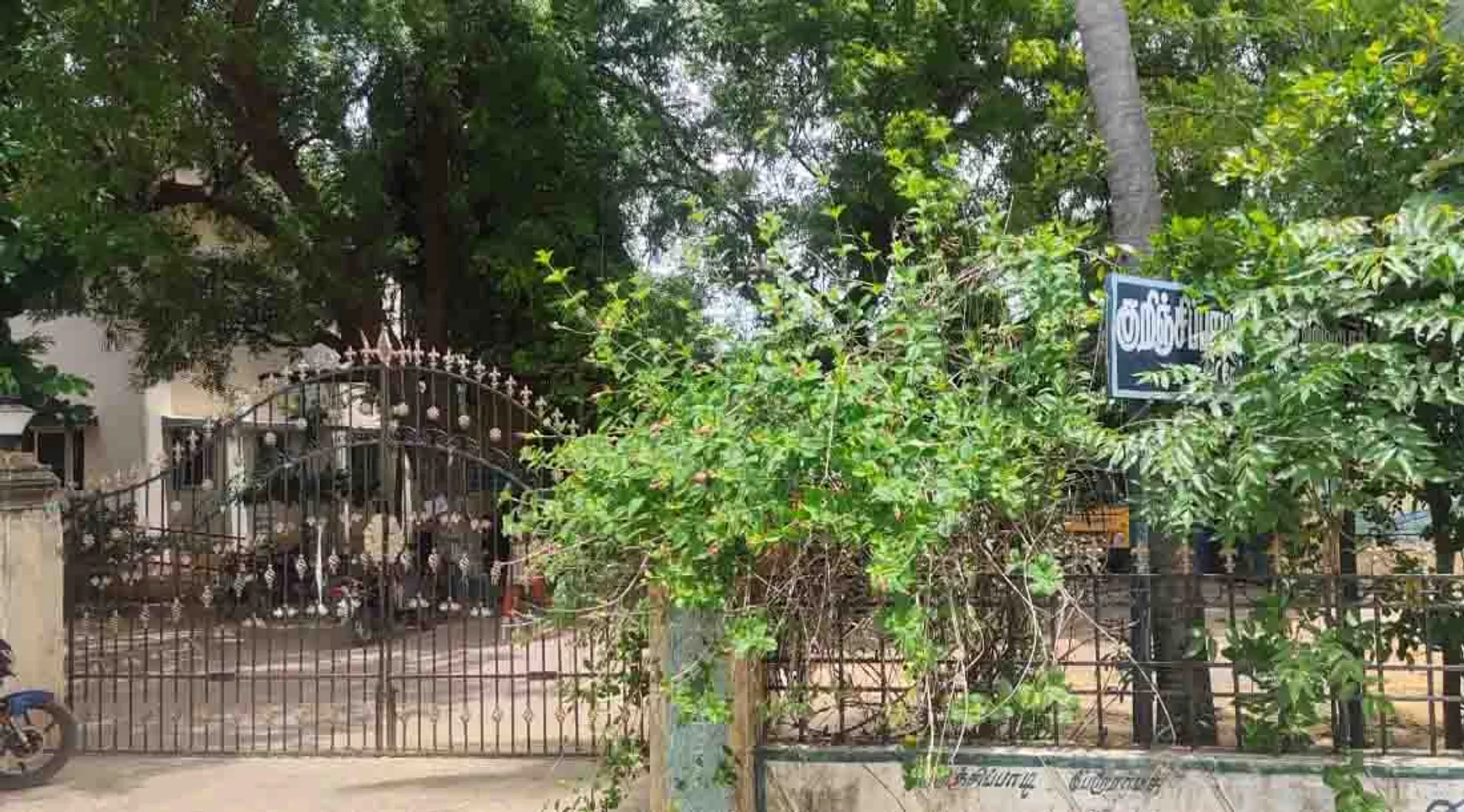 Kurinjipadi 