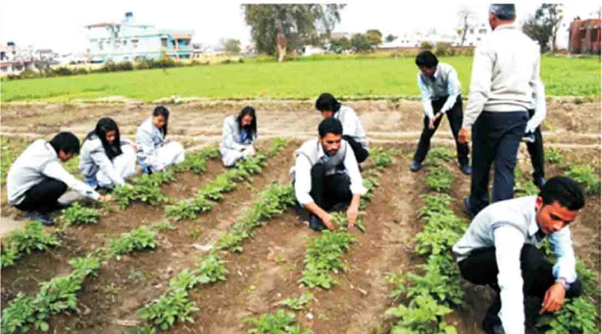 Agricultural courses suitable for all seasons