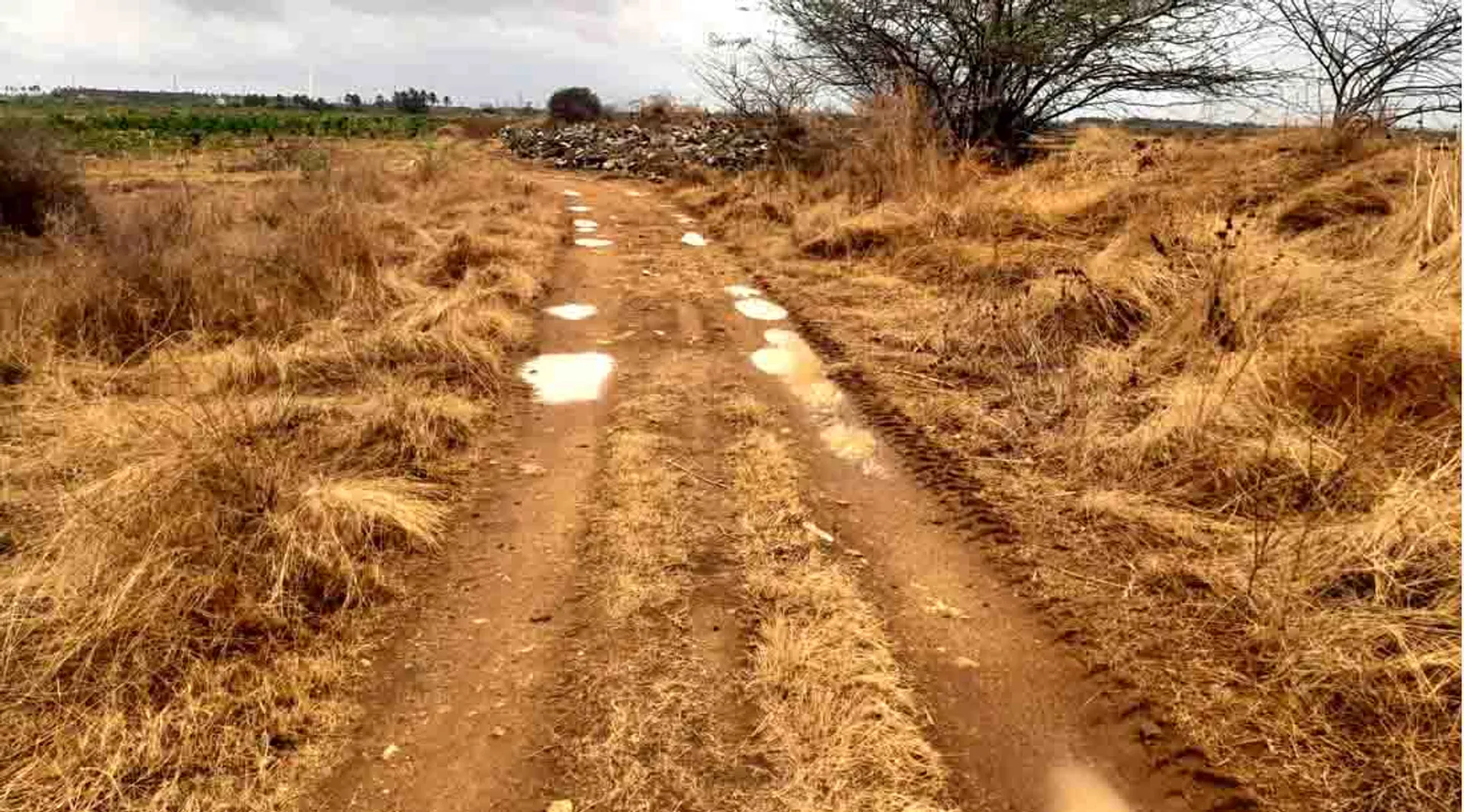 kannankulam tirunelveli