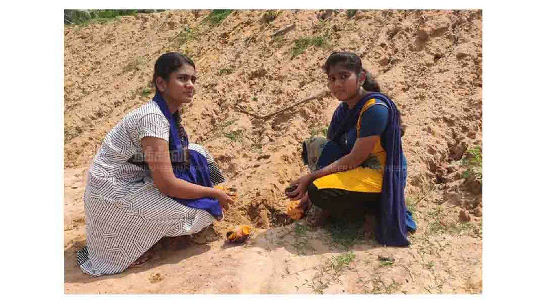 Corona Holidays - Palm seeds - Keeramangalam