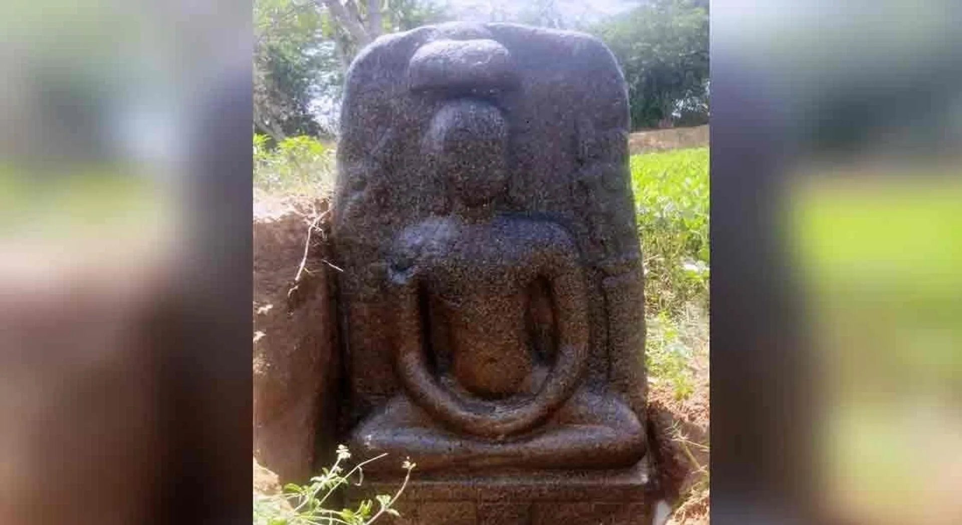 mahavir statue pudukkottai district farmer land 