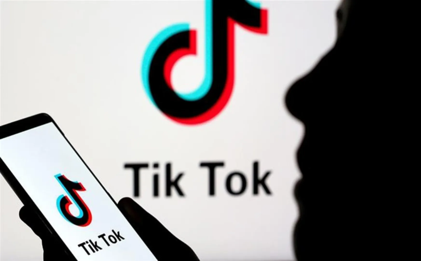 america tiktok 3 lakhs videos removed 