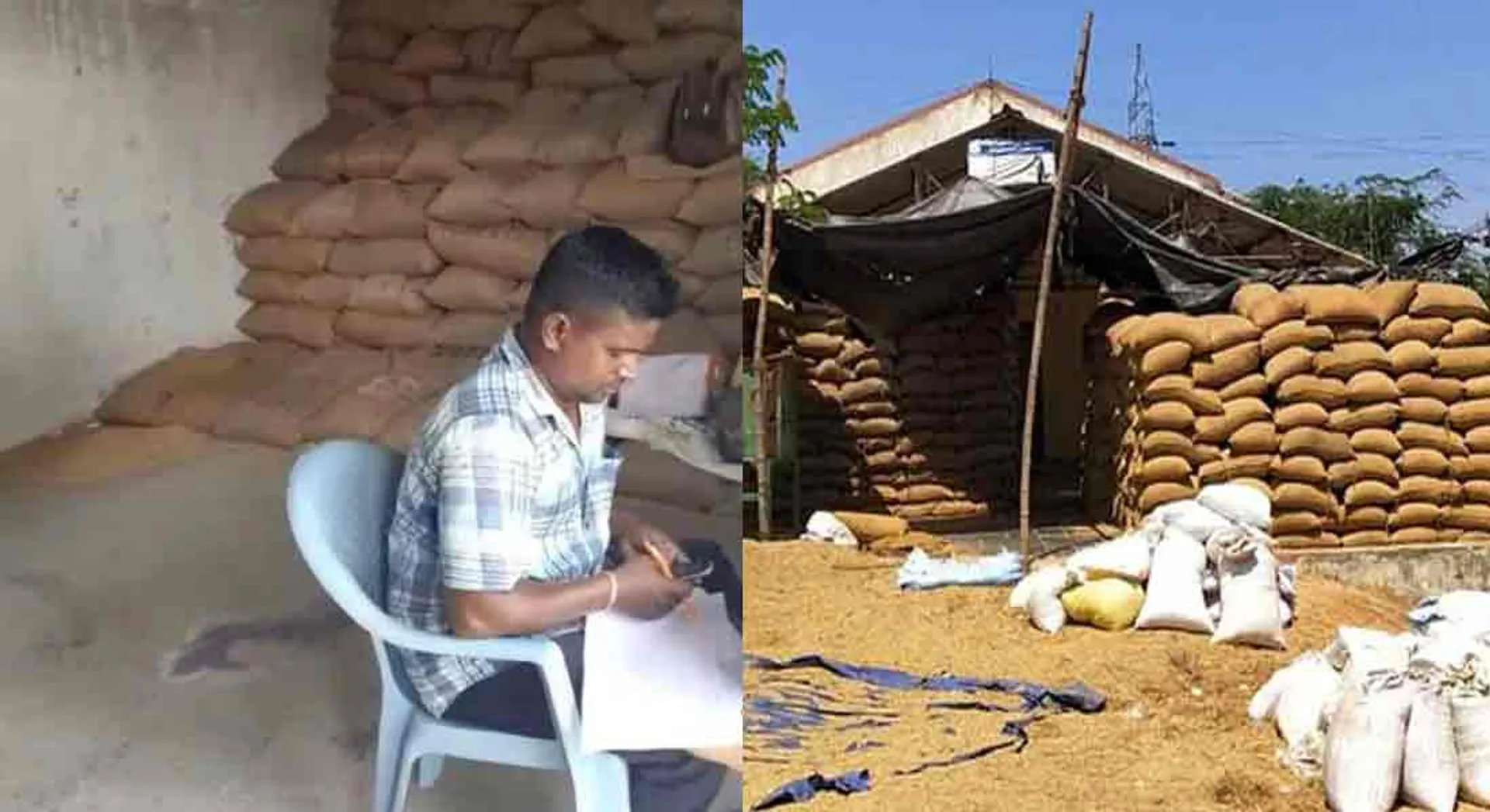  40 rupees for a bundle of paddy ... Employees of the Paddy Procurement Station fired!
