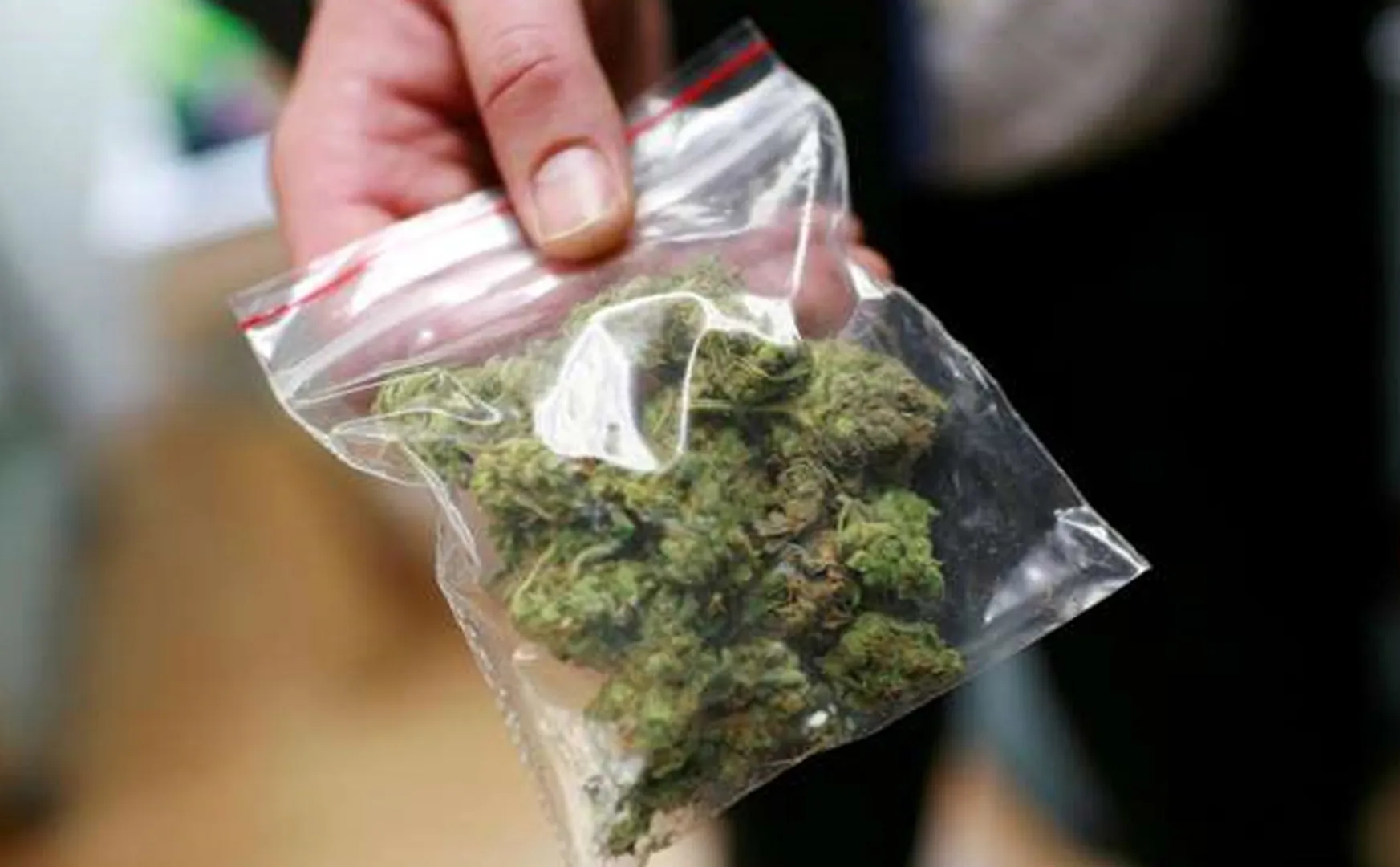 cannabis suppliers college students arrested in chennai   
