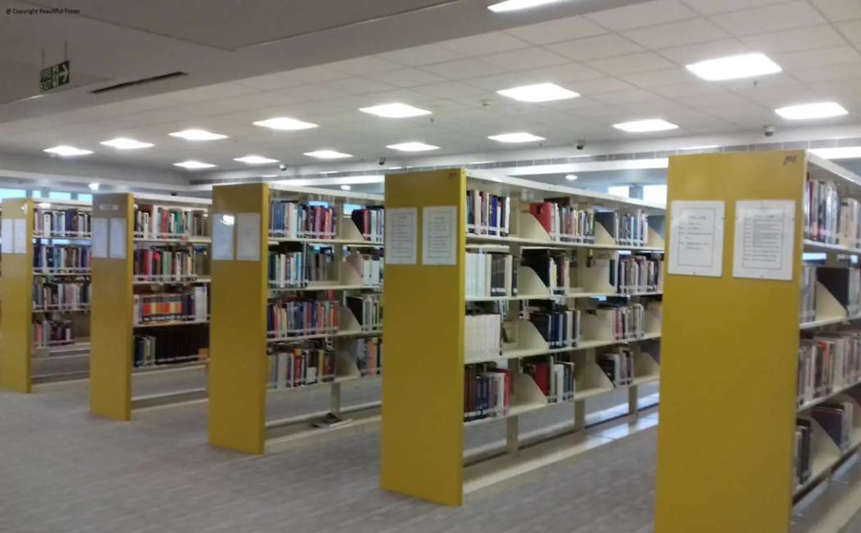 tamilnadu govt libraries open for sep 1st 