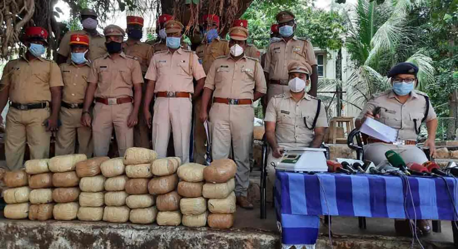  Cannabis sale targeting students in Pondicherry; 3 arrested! Seizure of 74 kg of cannabis