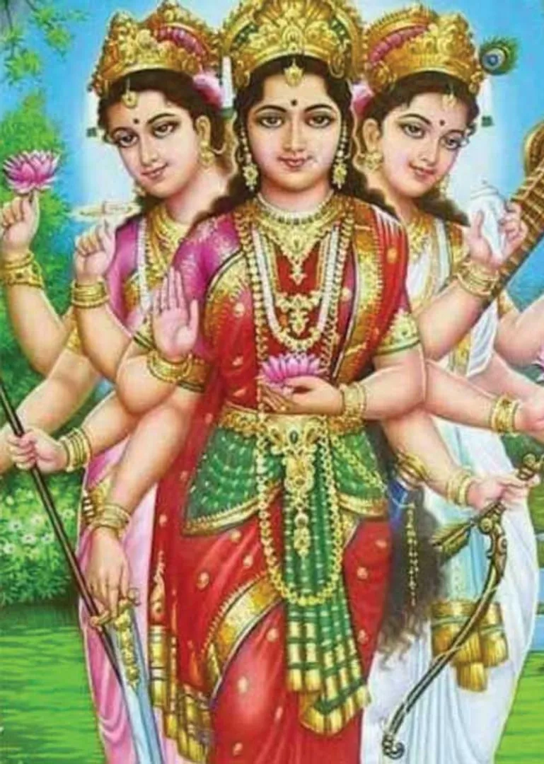 /idhalgal/balajothidam/auspicious-omen-removes-evil-and-makes-good-luck-present-astrologer-i-anandi