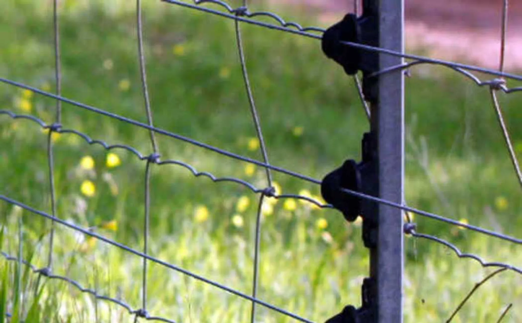 மின் வேலி