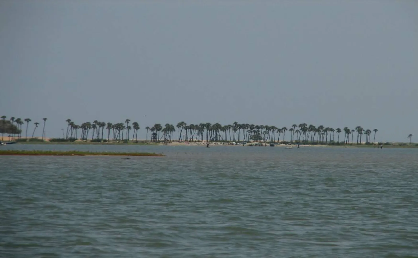 PULICAT LAKE CHENNAI HIGH COURT TN GOVT 