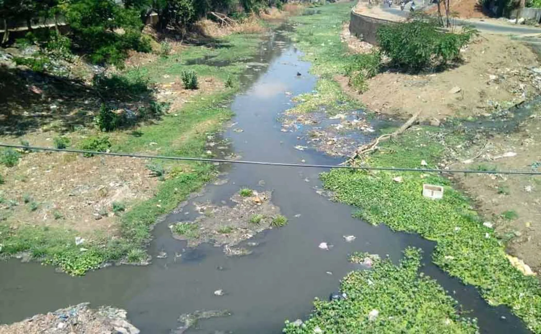 Sewage mix in Uyyakkondan river; Chief Minister ordered, the district administration to find out! Court of Question!
