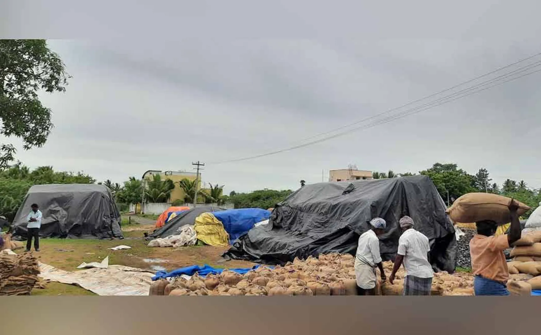 Farmers demand that the shortage of sacks at direct paddy procurement centers 