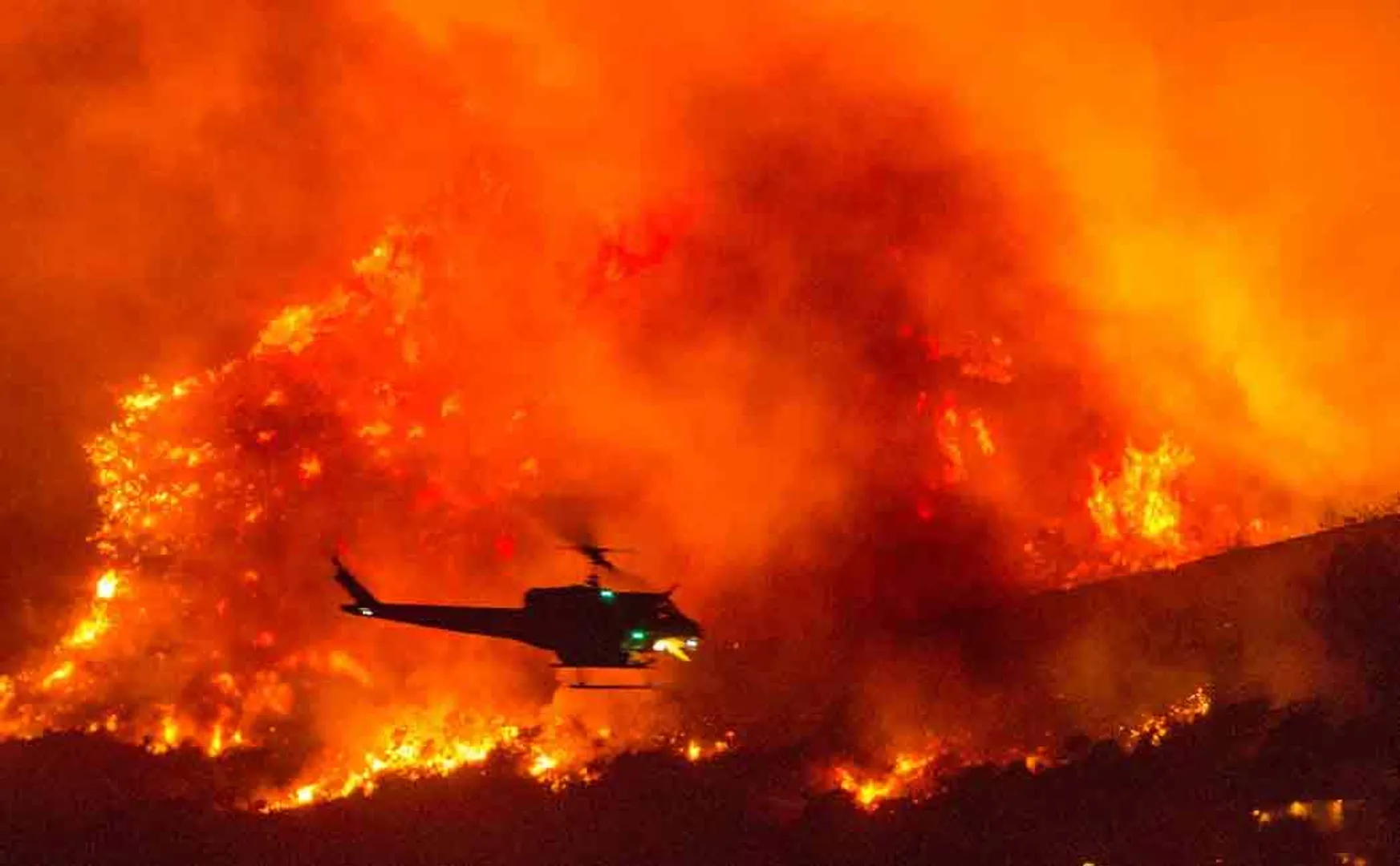 california forest fire