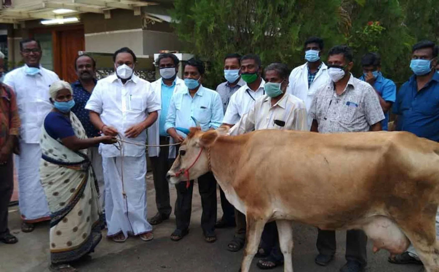 Minister Srinivasan gave new cow to an old woman who lost her cow 