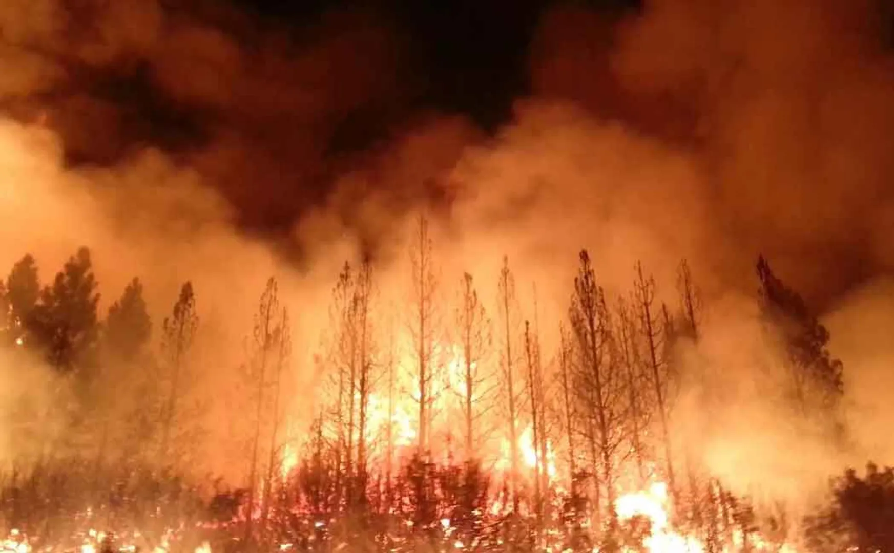 forest fire