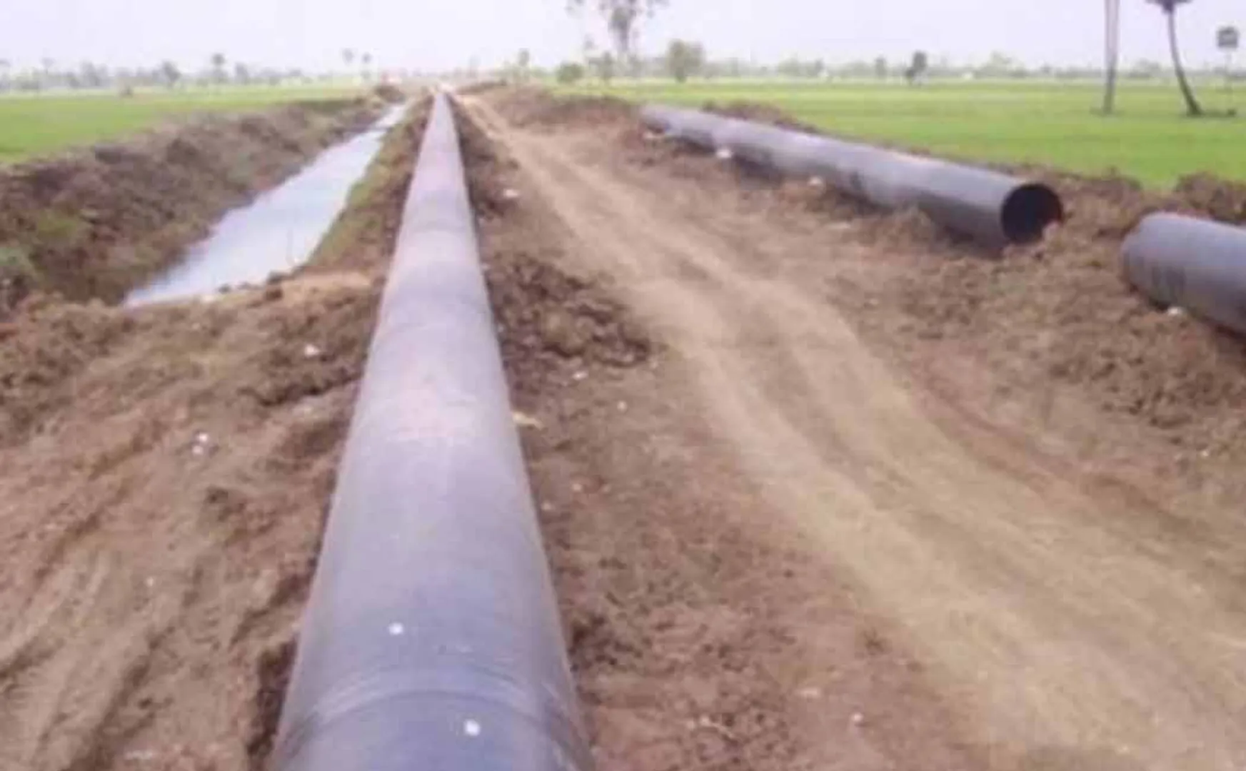 Pipe laying should be stopped in agriculture lands