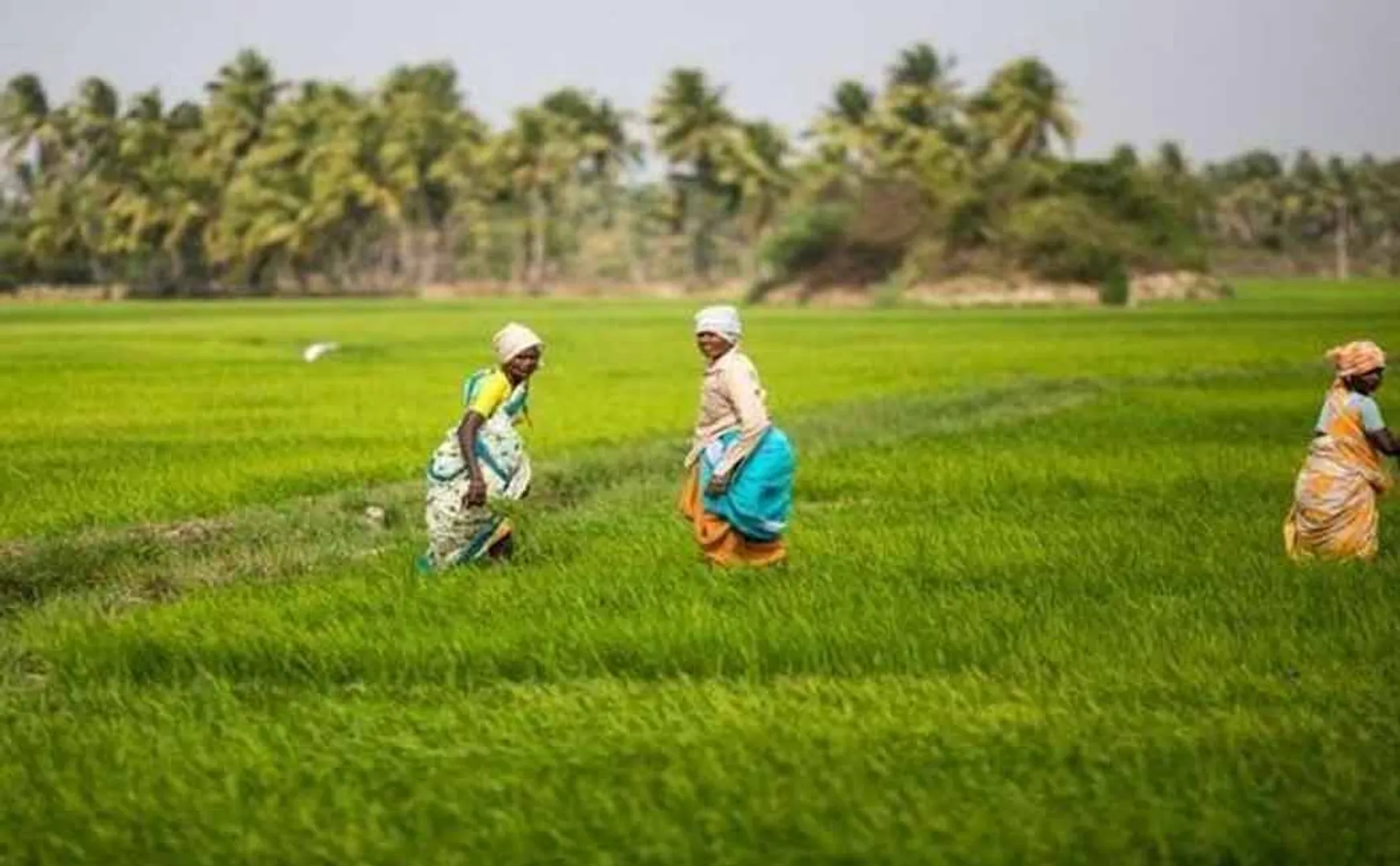 9 arrested for Kisan issue 