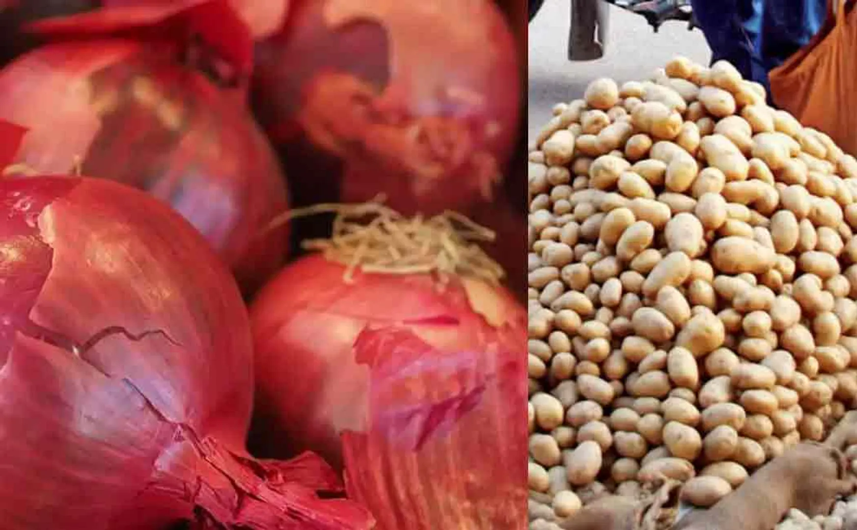 Essential Commodities Amendment passes in rajyasabha